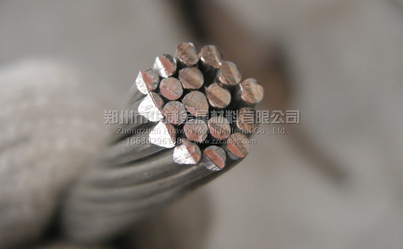 鍍錫裸銅絞線截面